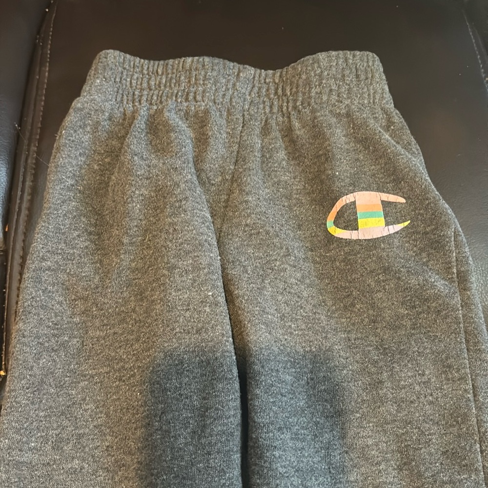 2T girls champion sweat pants